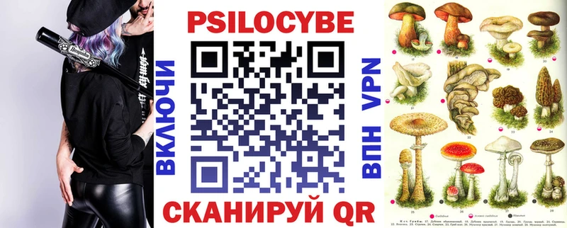 Купить  Краснозаводск  Псилоцибиновые грибы Psilocybine cubensis 
